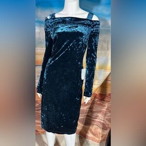 Maggie London Crushed Velvet Dress